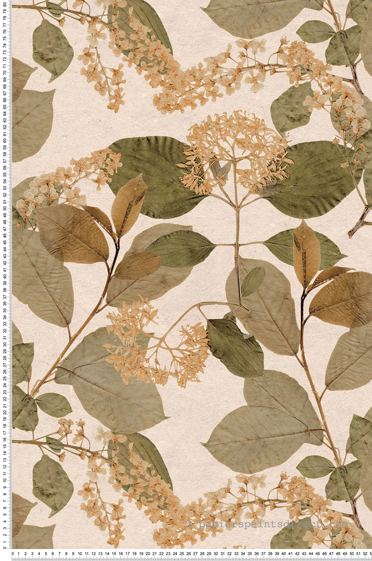 Papier peint Feuille Branchage Aplat automnal - Herbier de Montecolino | Réf. MC-HE27231