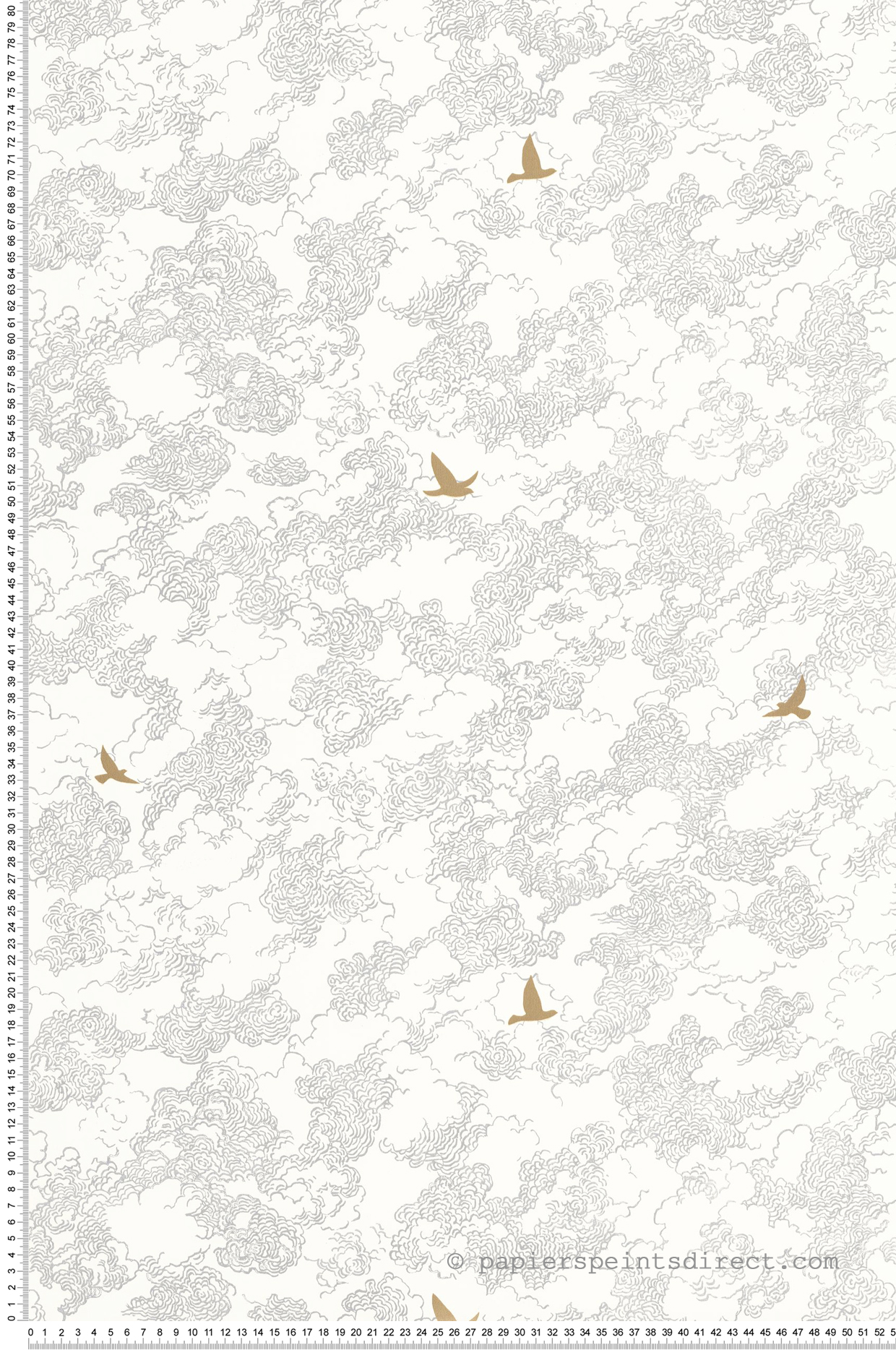 Papier peint Nuages Golden Flight gris doré - Moonlight 3 de Casélio | Réf. MNL3107090961