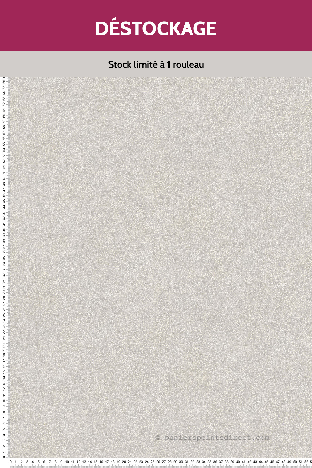 Papier Peint Destockage - Feuilles Nervures gris - Evergreen