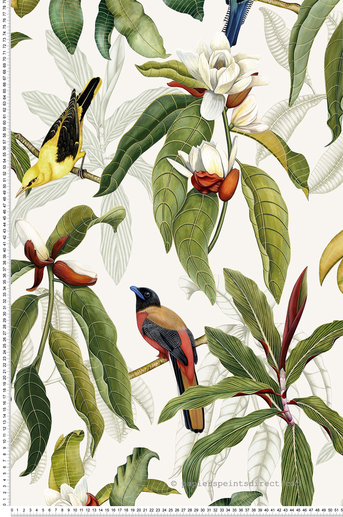 Papier peint exotique Oiseaux Michelia Ivory - Empyrea d'Osborne & Little | Réf. OSB-W7612-03