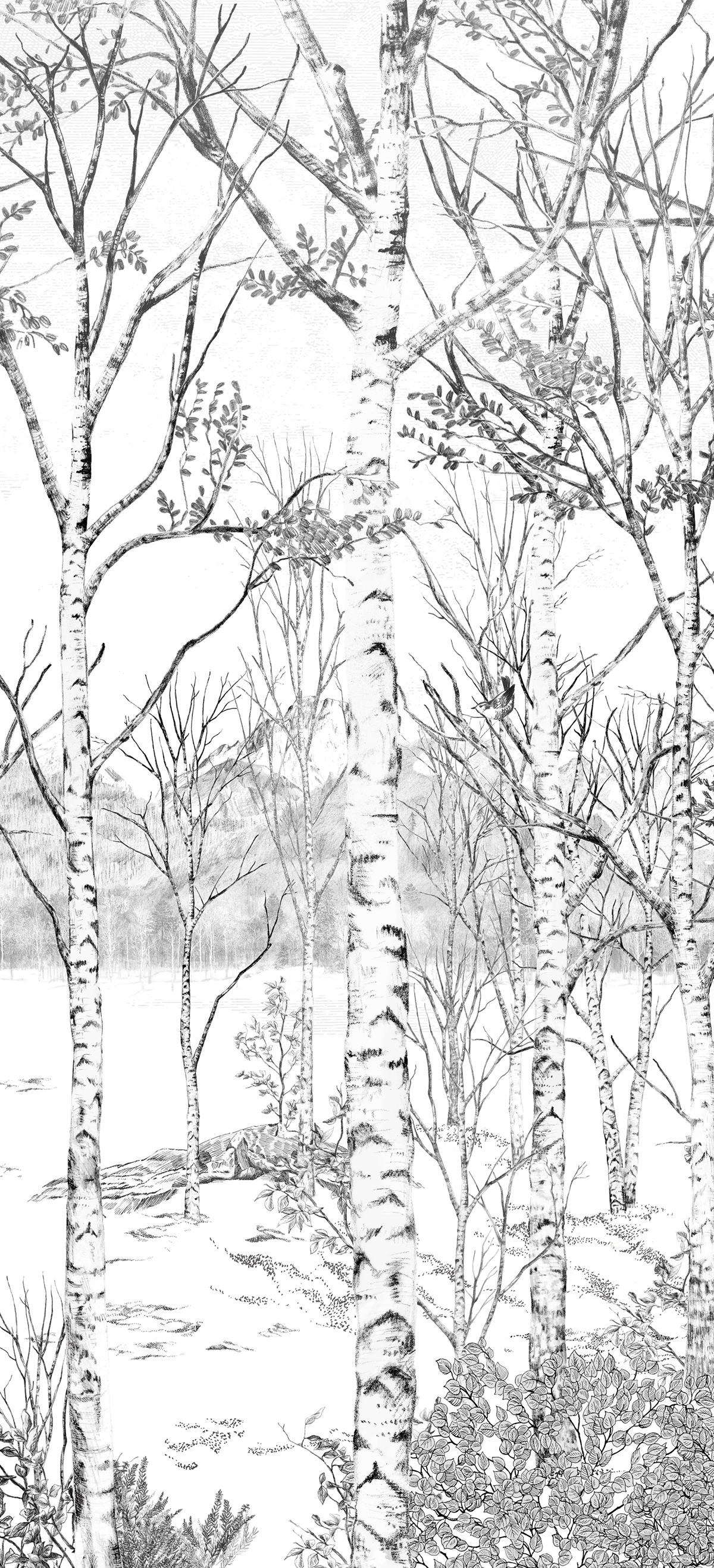 Papier peint panoramique Forêt Nunavut Grisaille C - 7/8/9 - Isidore Leroy