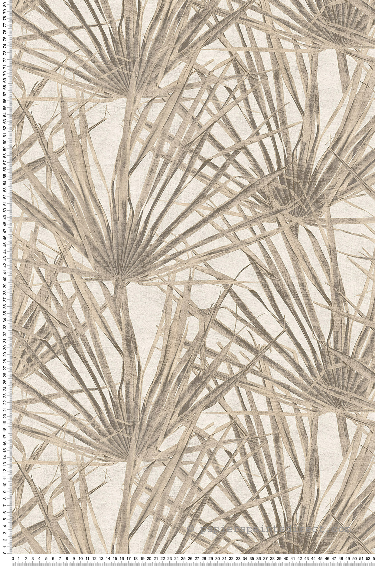 Papier peint Palmes Nature Contemporain beige gris - Herbier de Montecolino | Réf. MC-HE27260