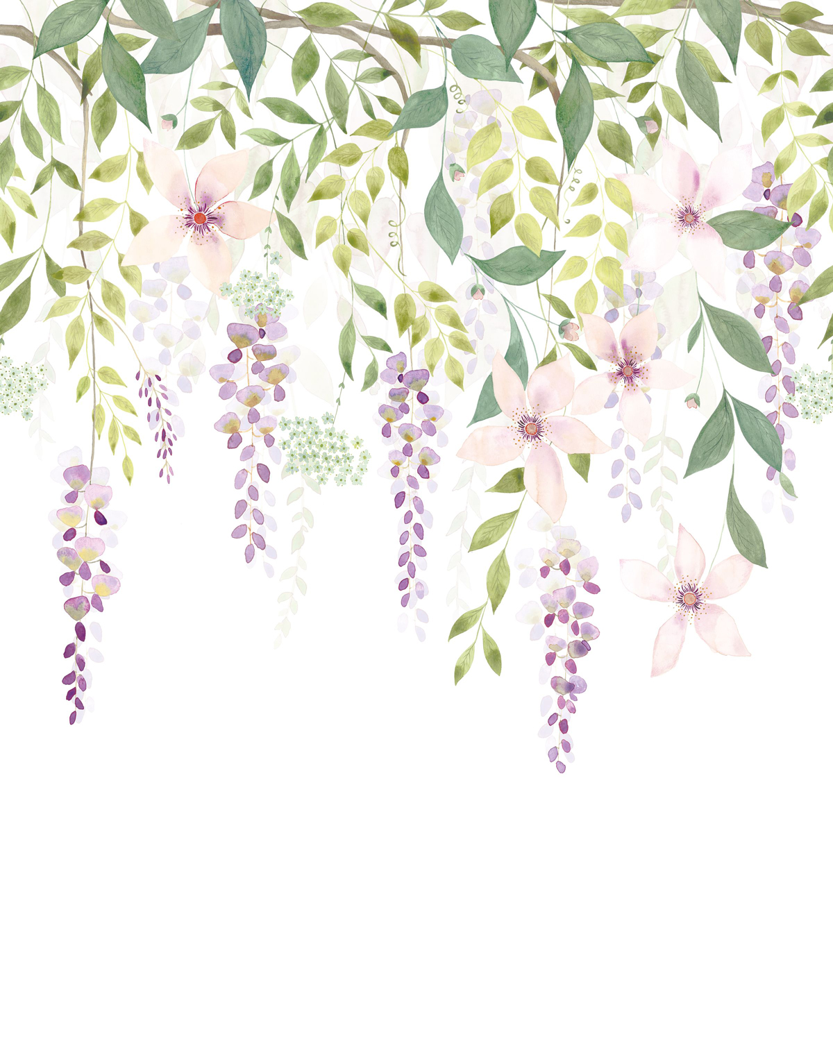 Papier peint panoramique Fleurs Glycines S vert violet 200x250 - Gardens de Casadéco | Réf. GADN87675105