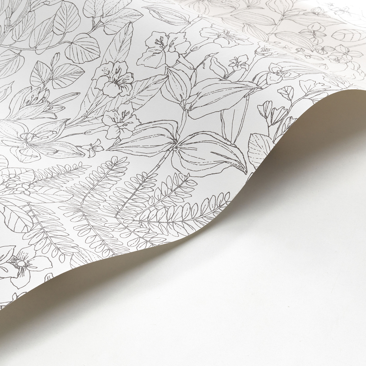 Papier peint Feuille Esquisse gris blanc - Gardens de Casadéco AMBV | Réf. GADN87599267