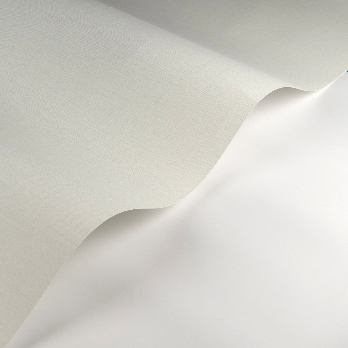 Papier peint Faux Uni Pointillé Smith vert d'eau léger - Carnaby Street de Casadéco AMBV | Réf. CARN200567120