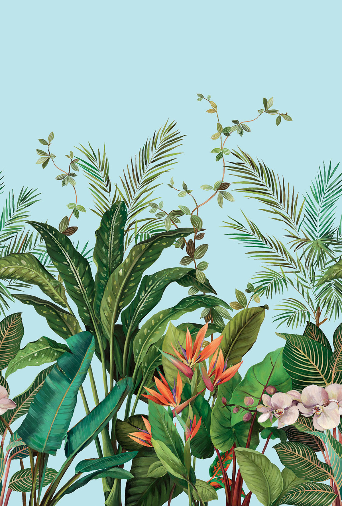 Papier peint panoramique Plante Oiseau de Paradis bleu clair - Daisy Bennett d'Initiales | Réf. INI-DB31702M