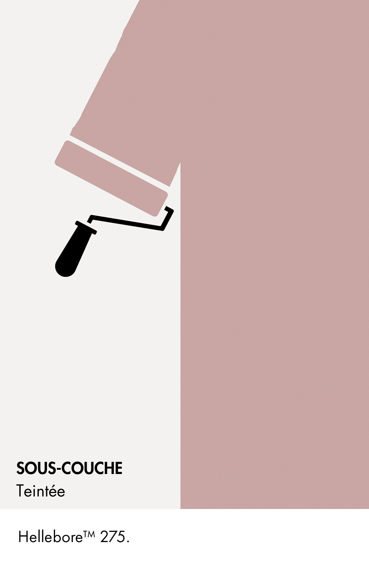 Sous-couche teintée Hellebore n°275 Wall Primer Sealer 2,5 litres