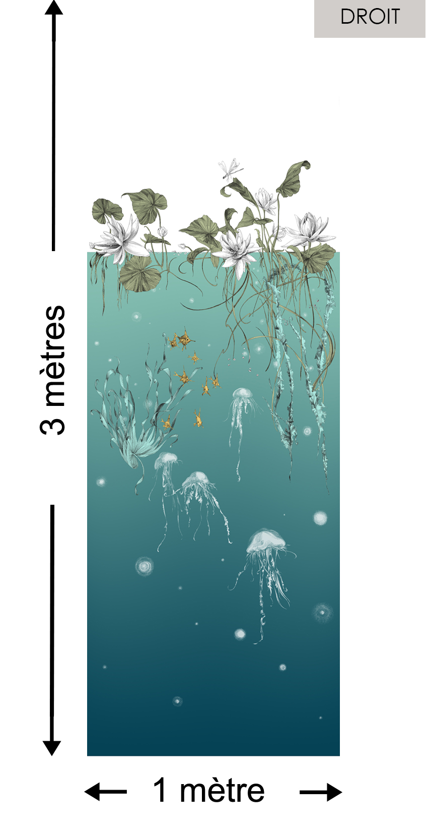 Méduses DROIT Turquoise - Collection Catherine Gran de Edmond Petit