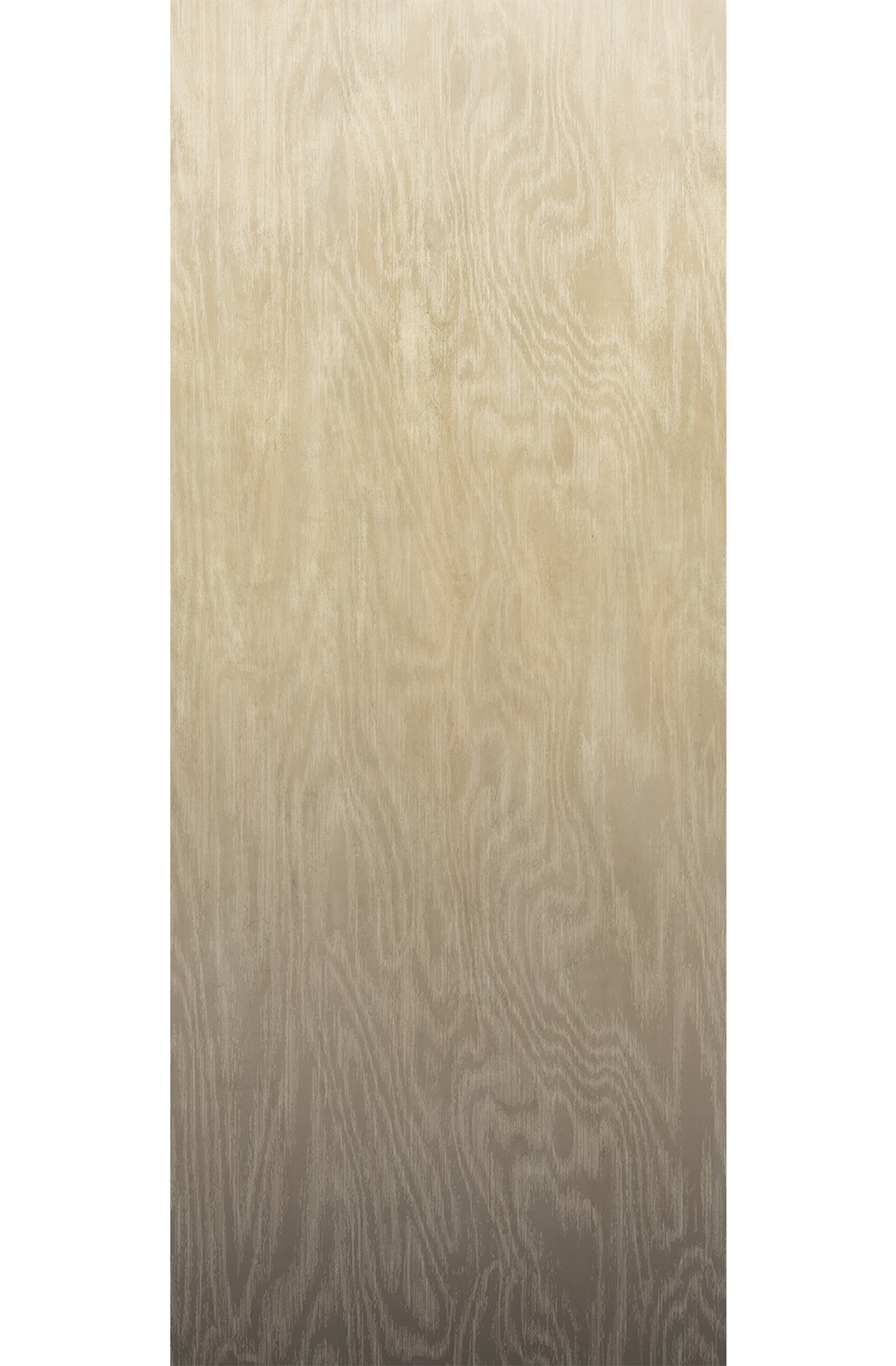 Papier peint panoramique Dégradé Moiré Bois beige marron - B H260 - Wall Designs IV de Masureel | Réf. MAS-DG4MOI1052-260