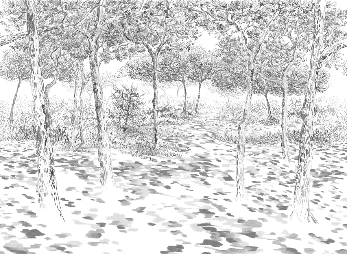 Papier peint panoramique Balade sous les pins Gris A+B+C - 1/2/3/4/5/6/7/8/9 - Isidore Leroy