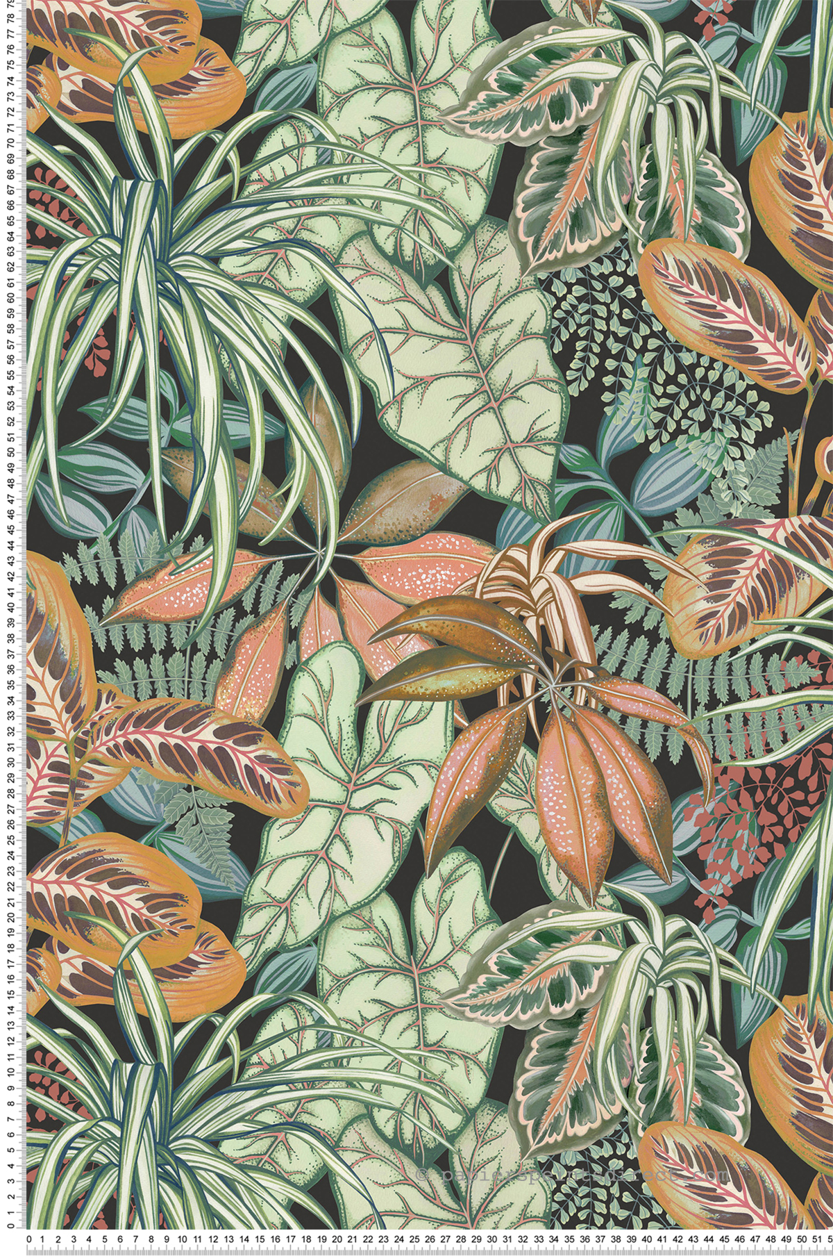 Papier peint Feuillage Jungle Hothouse anthracite - Ananda d'Osborne & Little | Réf. OSB-W8032-03