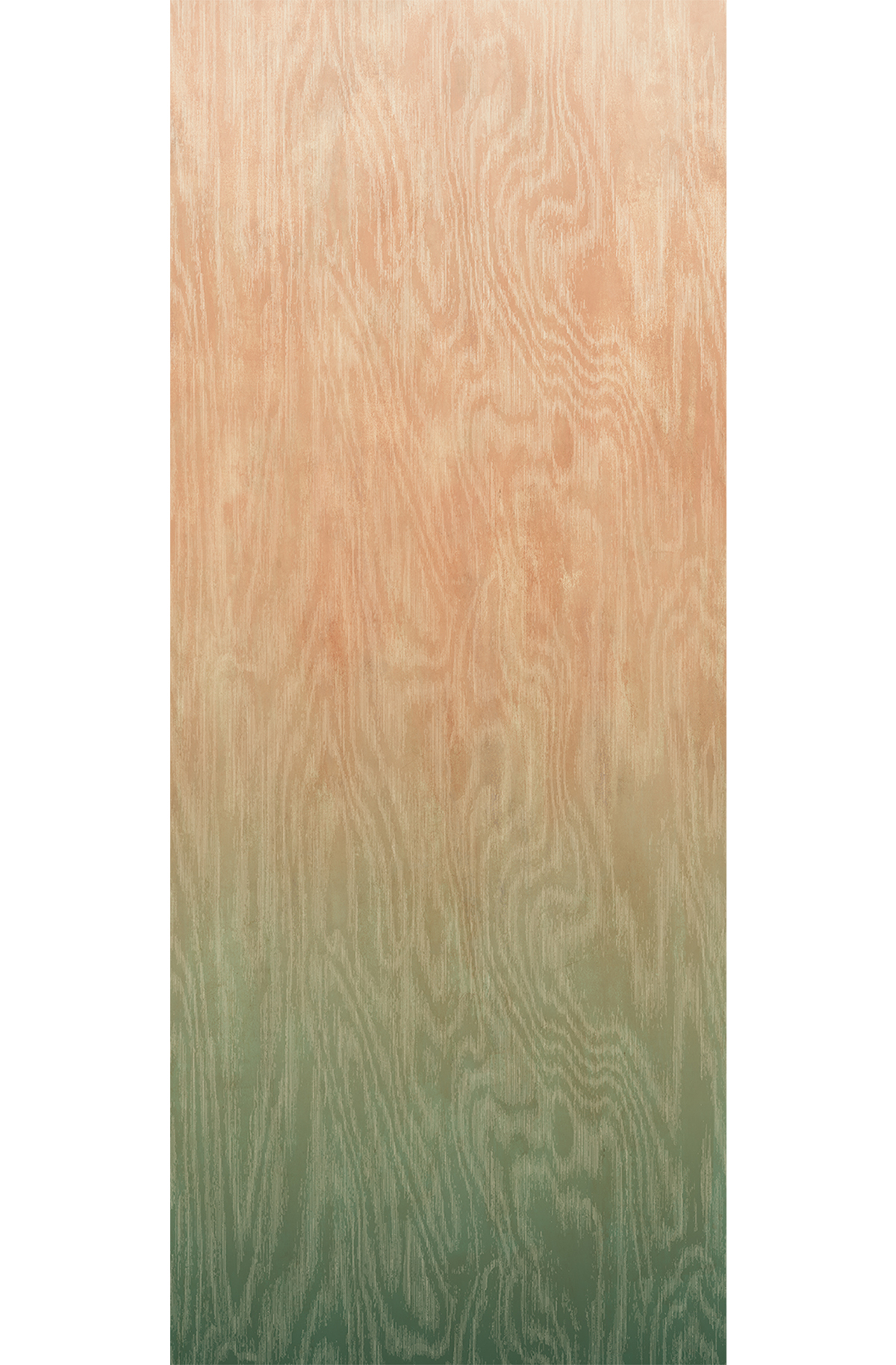 Papier peint panoramique Dégradé Moiré Bois corail vert - B H260 - Wall Designs IV de Masureel | Réf. MAS-DG4MOI1082-260