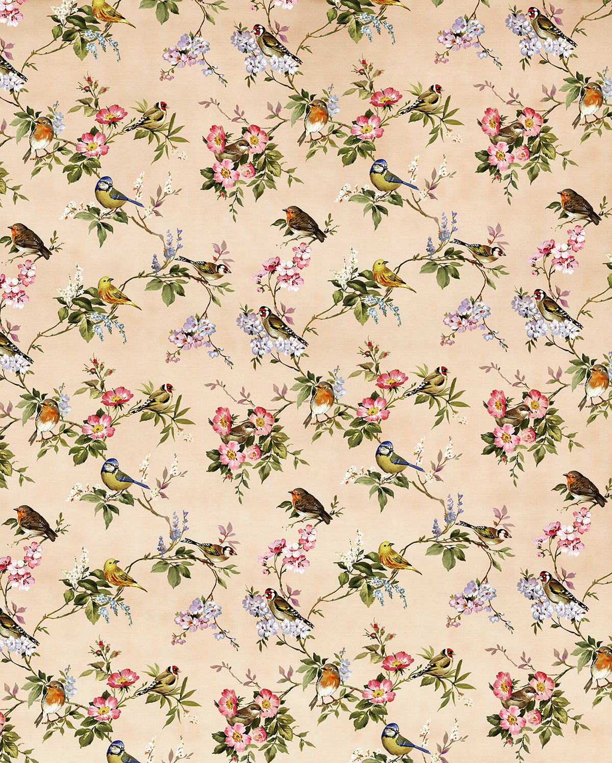 Papier peint panoramique Oiseau Concert de Demain - Papier peint Komar Le Jardin