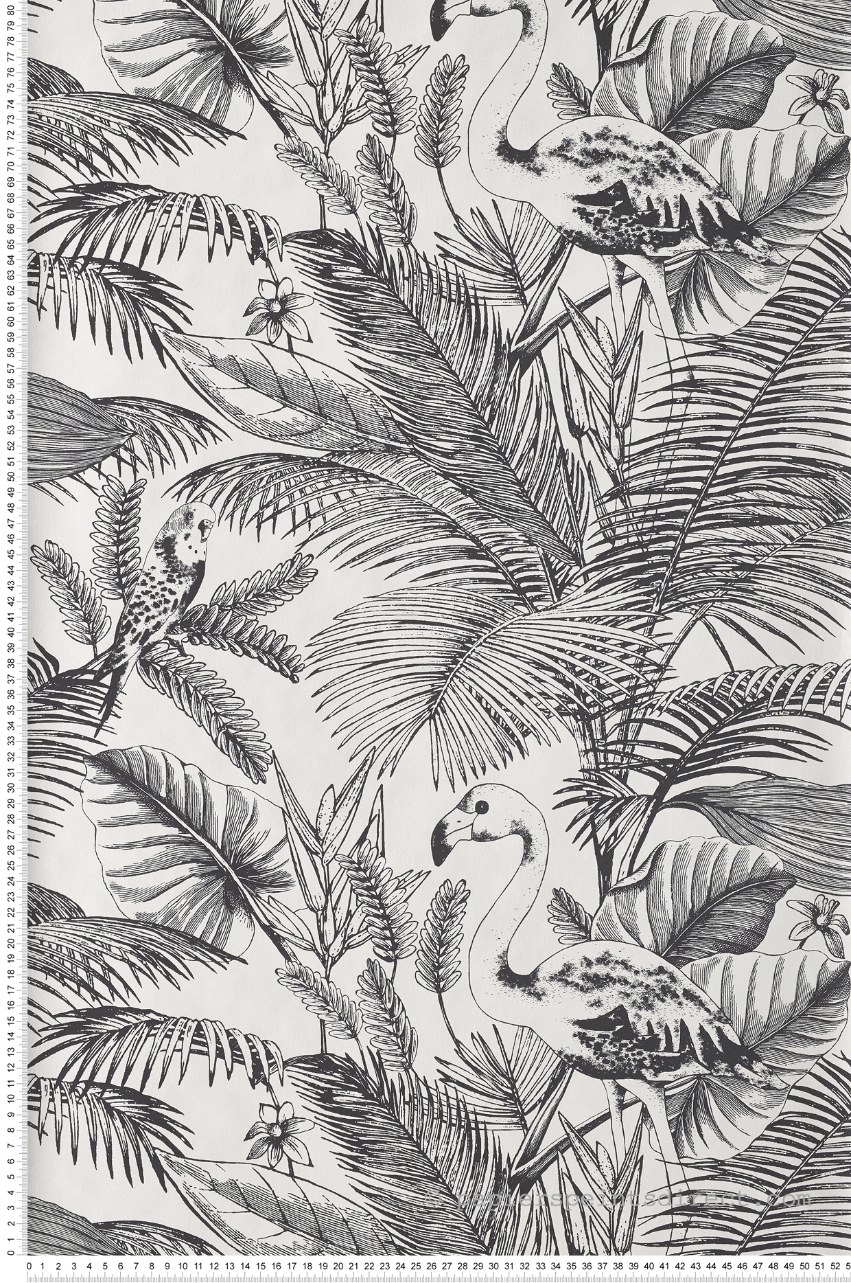Papier peint flamant rose Tropical world noir et blanc - Moonlight de Casélio | Réf. MLG101039000