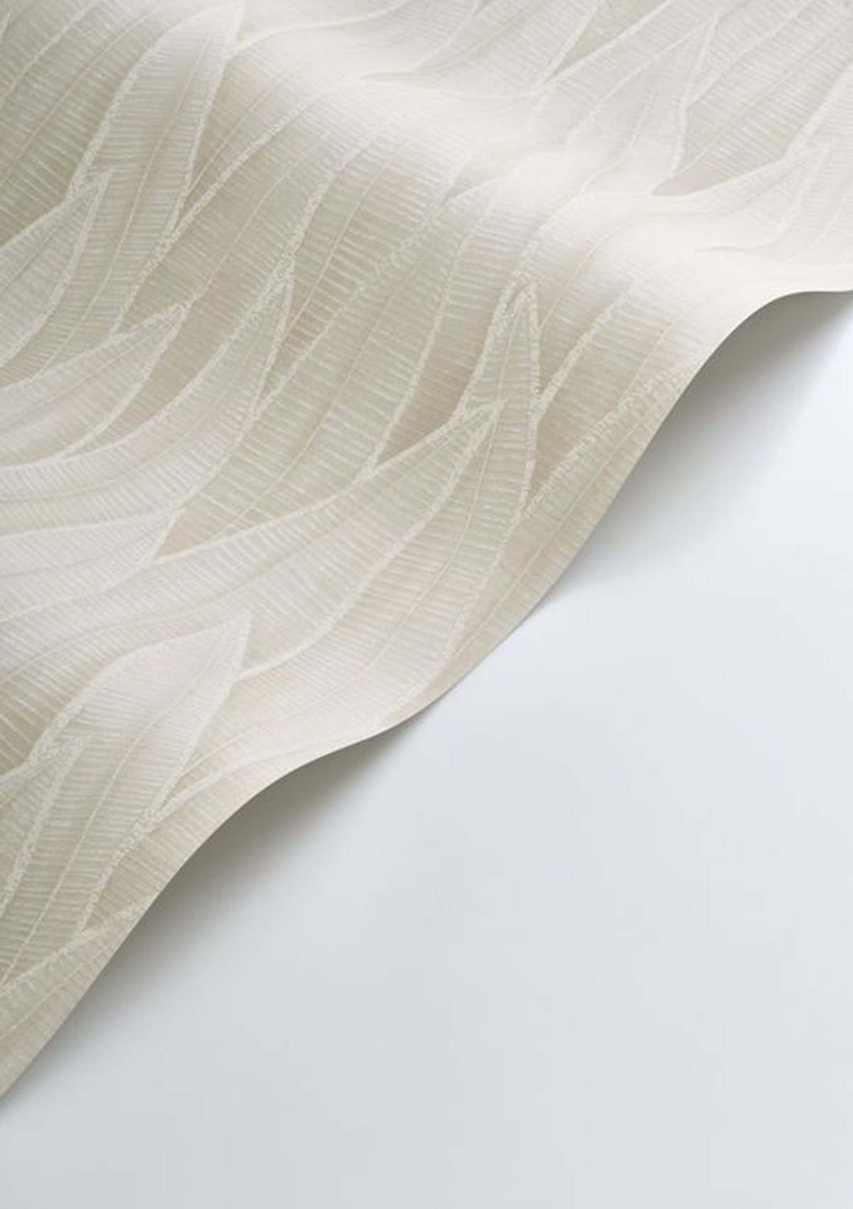 Papier peint Nature Feuille Sansevieria craie - Rio de Casadéco AMB4| Réf. RIOC201830155