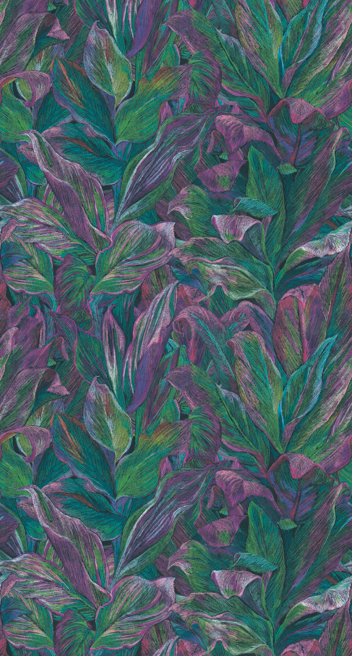 Papier peint Feuillage Panoramique Foliage vert et violet - Beauty Full Image de Casadéco | Réf. BFIM84827517