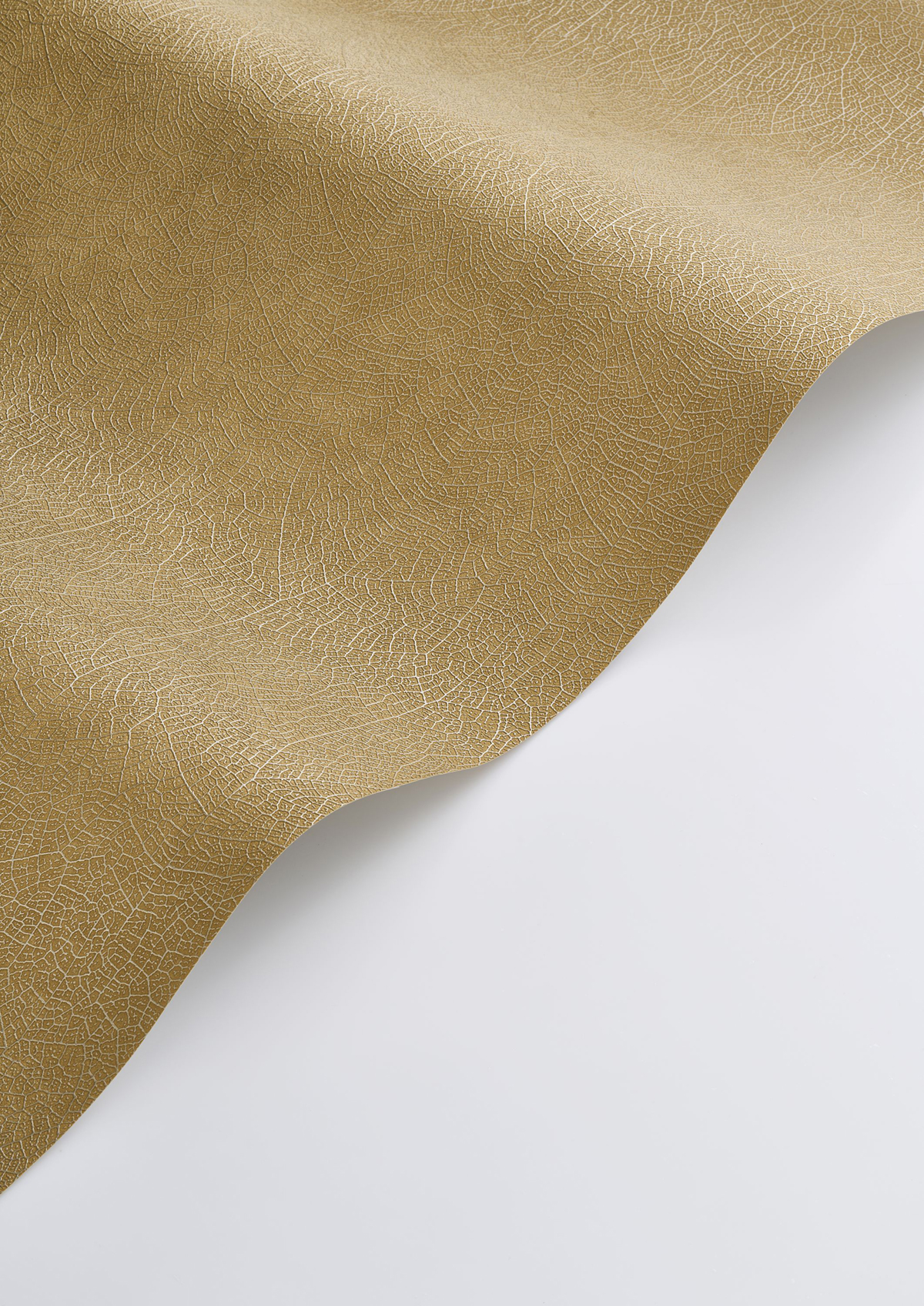 Papier peint Feuille Nervure Nola moutarde - Vegetals de Casadéco AMBV| Réf. VEGE201282525