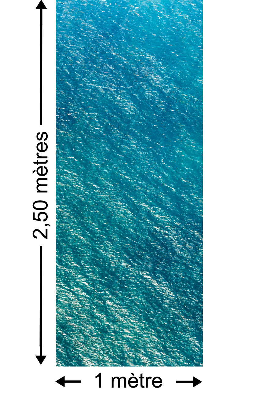 Papier peint eau Blaupause Panel - Papier peint lé unique Komar