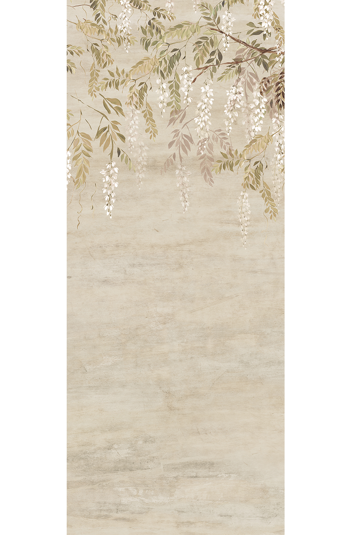 Papier peint panoramique Fleurs Glycine Patio beige - A H260 - Wall Designs IV de Masureel | Réf. MAS-DG4PAT1011-260