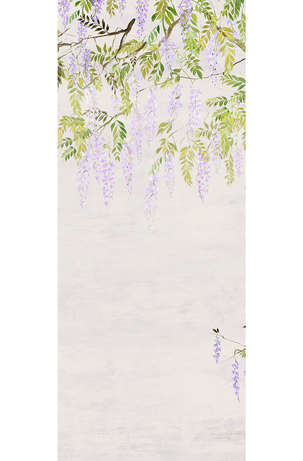 Papier peint panoramique Fleurs Glycine Patio violet - B H260 - Wall Designs IV de Masureel | Réf. MAS-DG4PAT1032-260
