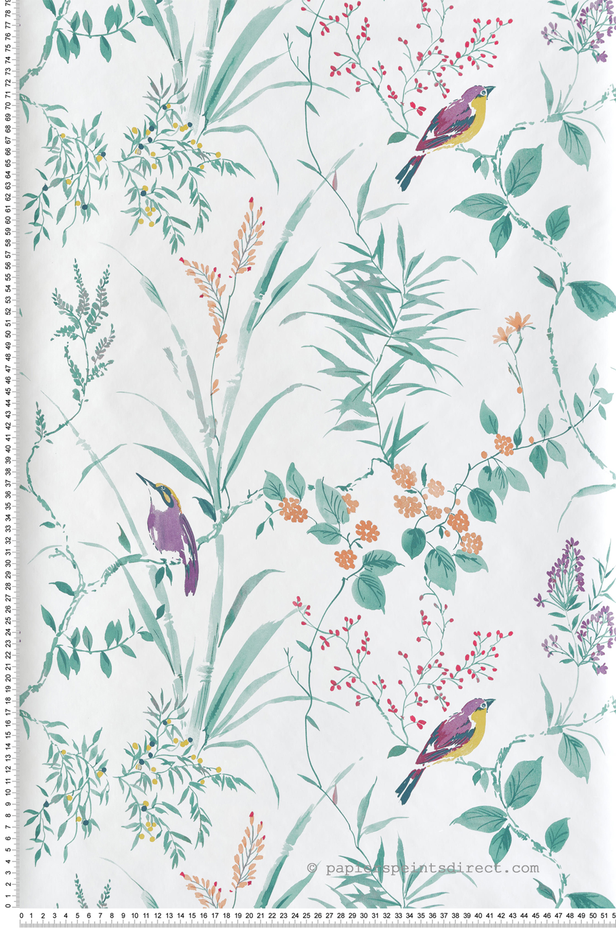 Papier peint adhésif Oiseau Charme Songbird vert - Les Adhésifs de Lutèce | Réf. LTC-NUS4471