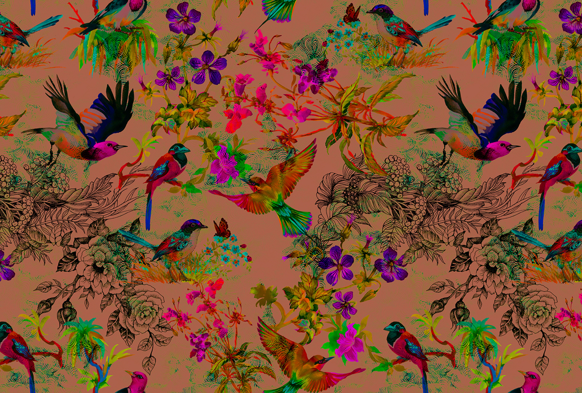Papier peint panoramique Oiseau Funky Birds 3 - Référence DD110186 - Intissé 200g/m2 - Standard 400 x 270