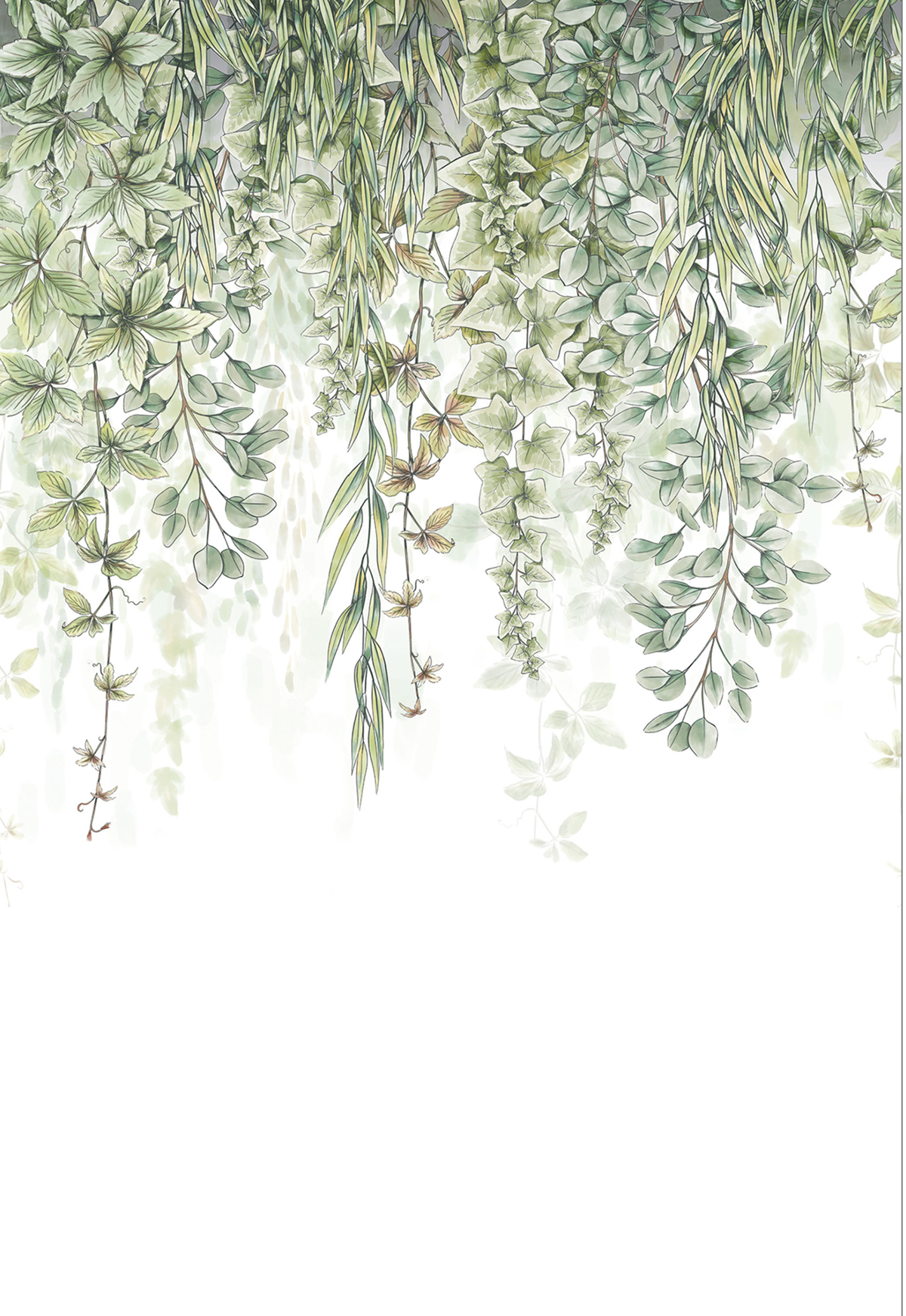 Papier peint panoramique Plante Tombante vert L 212 X 310 - Reliefs de Casélio | Réf. RLF106317027