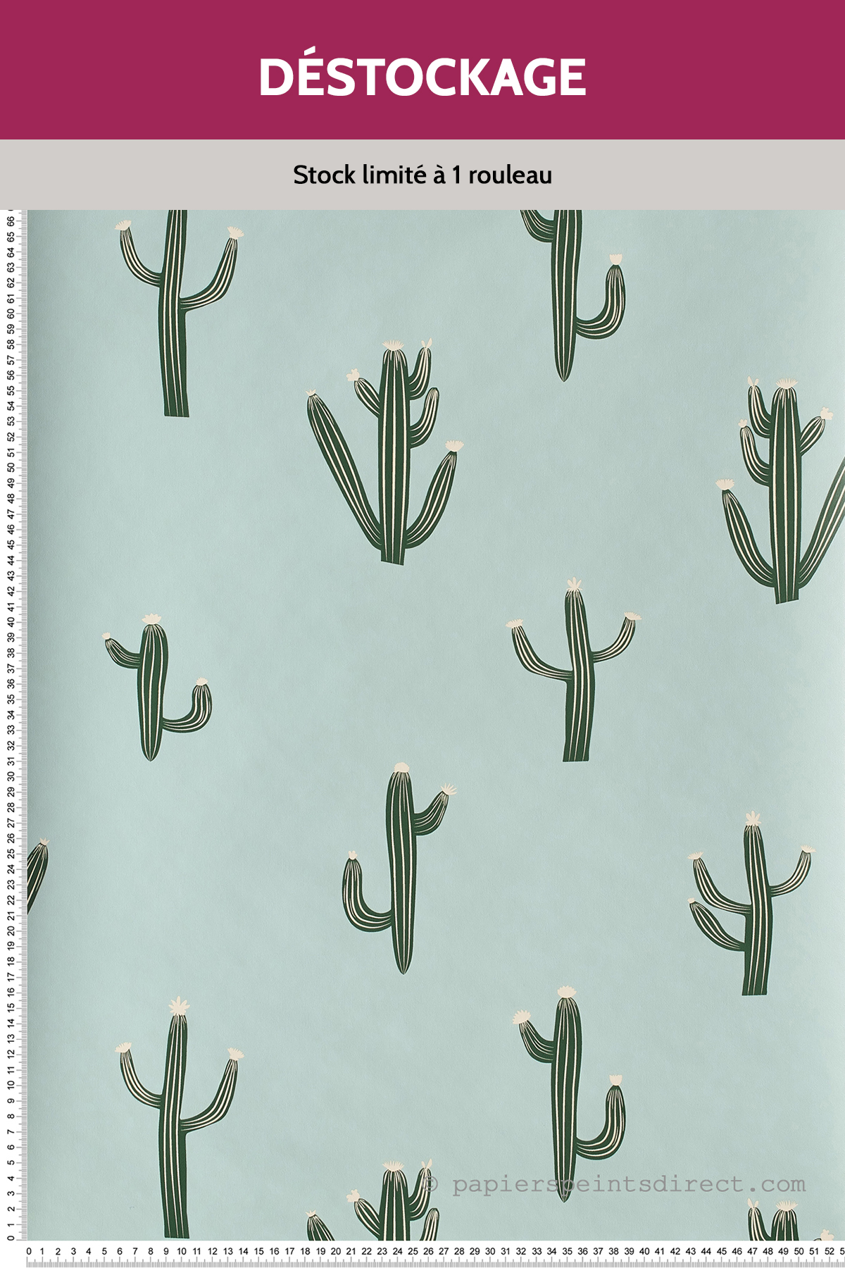 Papier Peint Destockage - Cactus vert