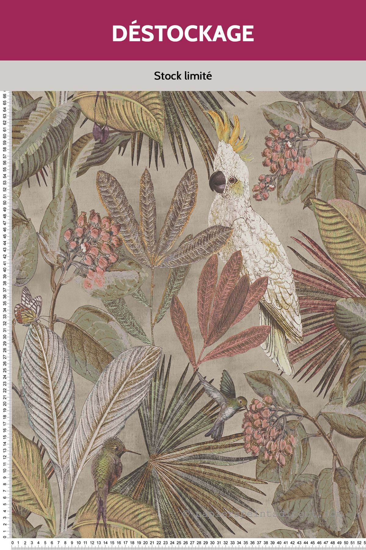 Papier peint Destockage - Oiseaux tropicaux taupe - Savana de Lutèce
