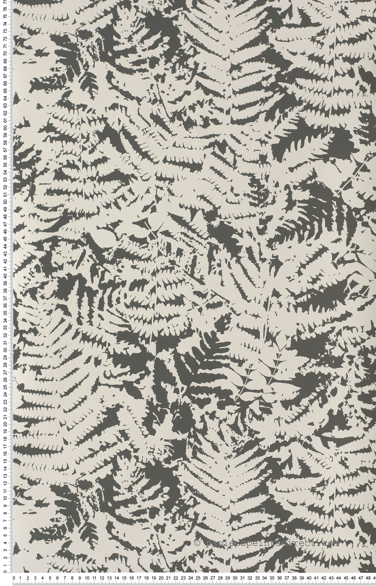 Fern Off Black - Papier peint Retrospective Papers de Little Greene