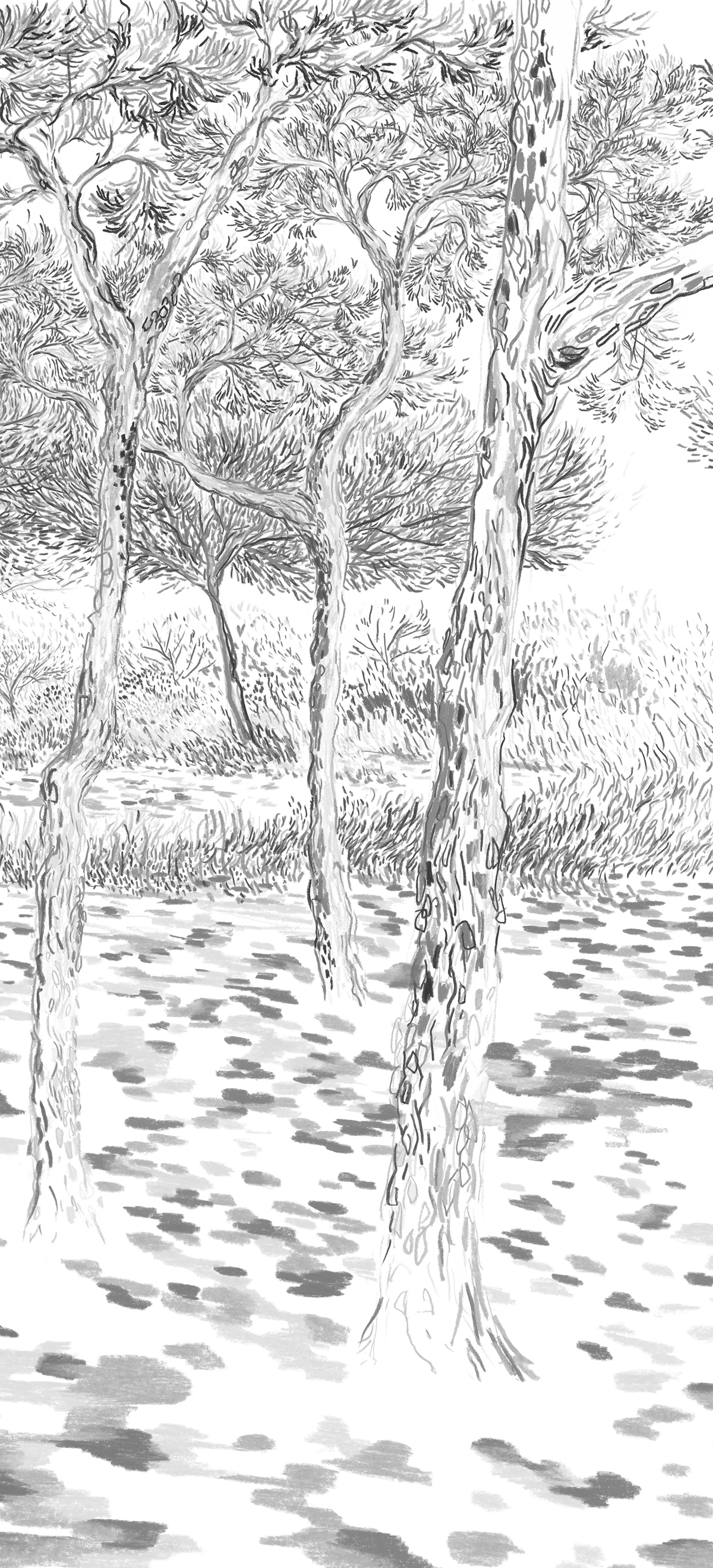 Papier peint panoramique Balade sous les pins Gris C - 7/8/9 - Isidore Leroy