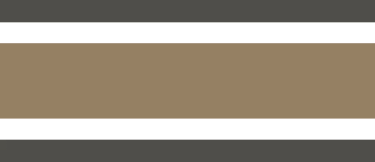 Frise Classique Rayure Élégante kaki anthracite - Galons et Frises de Casadéco AMB4| Réf. GAFR200382567