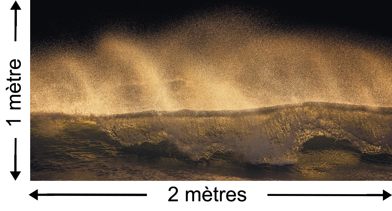 Panoramique Golden Wave - Papier peint Komar