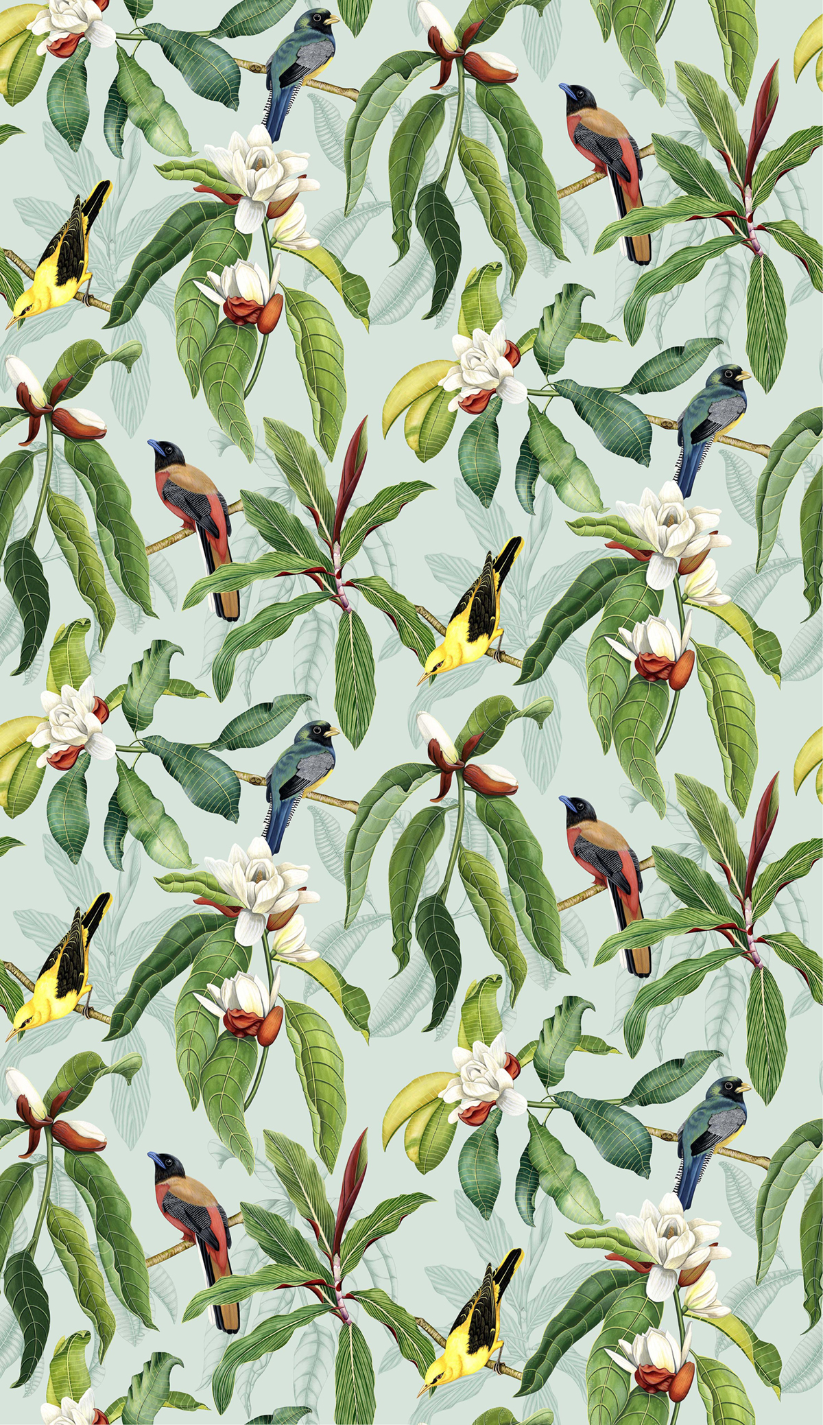 Papier peint exotique Oiseaux Michelia Eau De Nil - Empyrea d'Osborne & Little | Réf. OSB-W7612-04