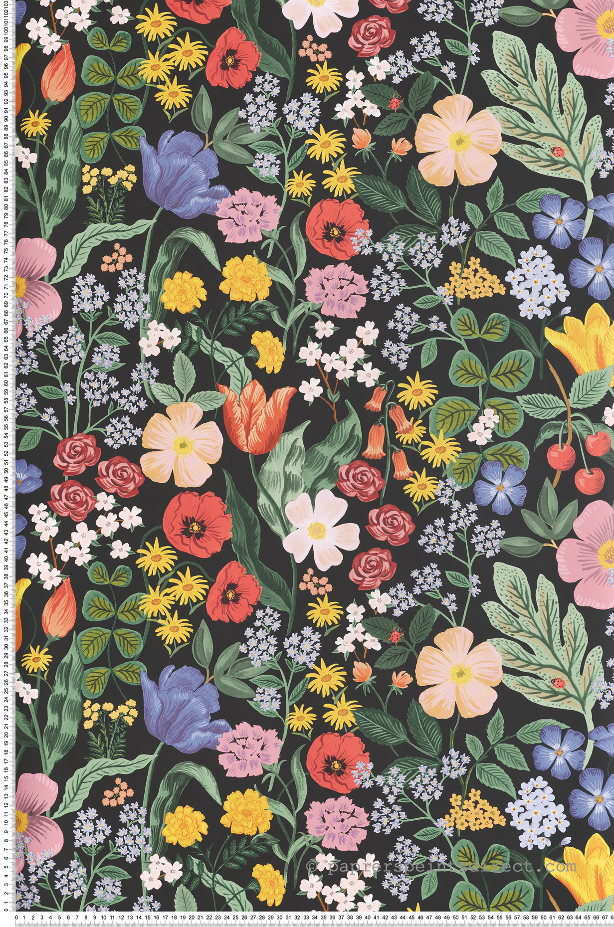 Papier peint Floral Blossom noir multicouleurs - Rifle Paper Co. 3 de York (Initiales) | Réf. INI-RF7491