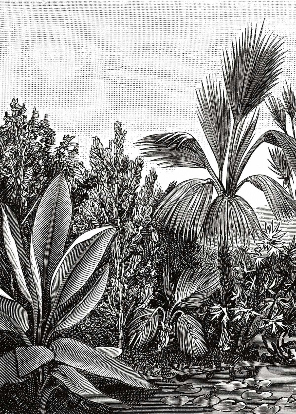 Papier peint panoramique Tropical Escape noir et blanc - The Place to Bed de Casélio | Réf. PTB102059018