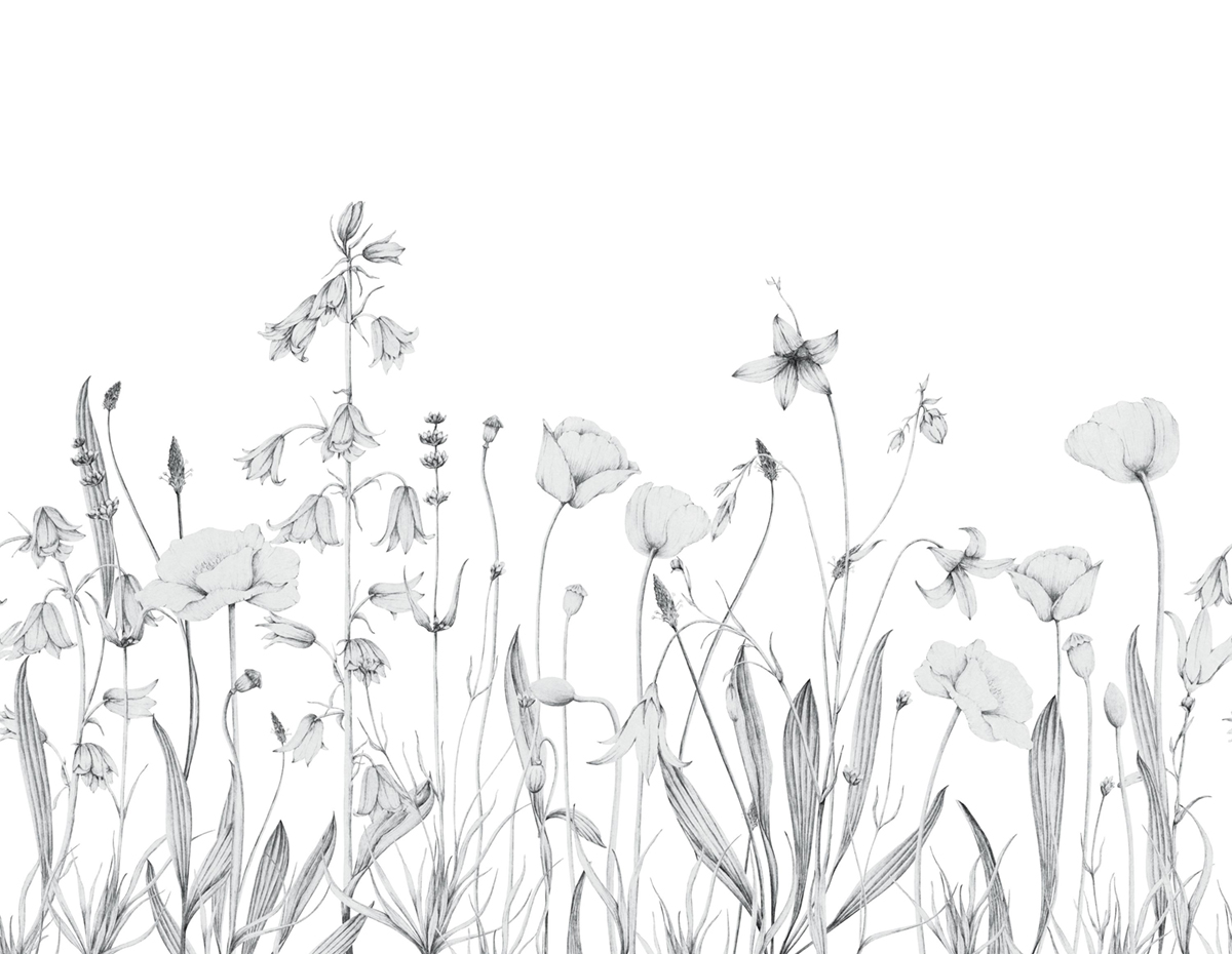 Papier peint panoramique Floral Promenade Bucolique L gris brume 400X310 - Wonderwalls 2 de Casadéco | Réf. WDWD200169112