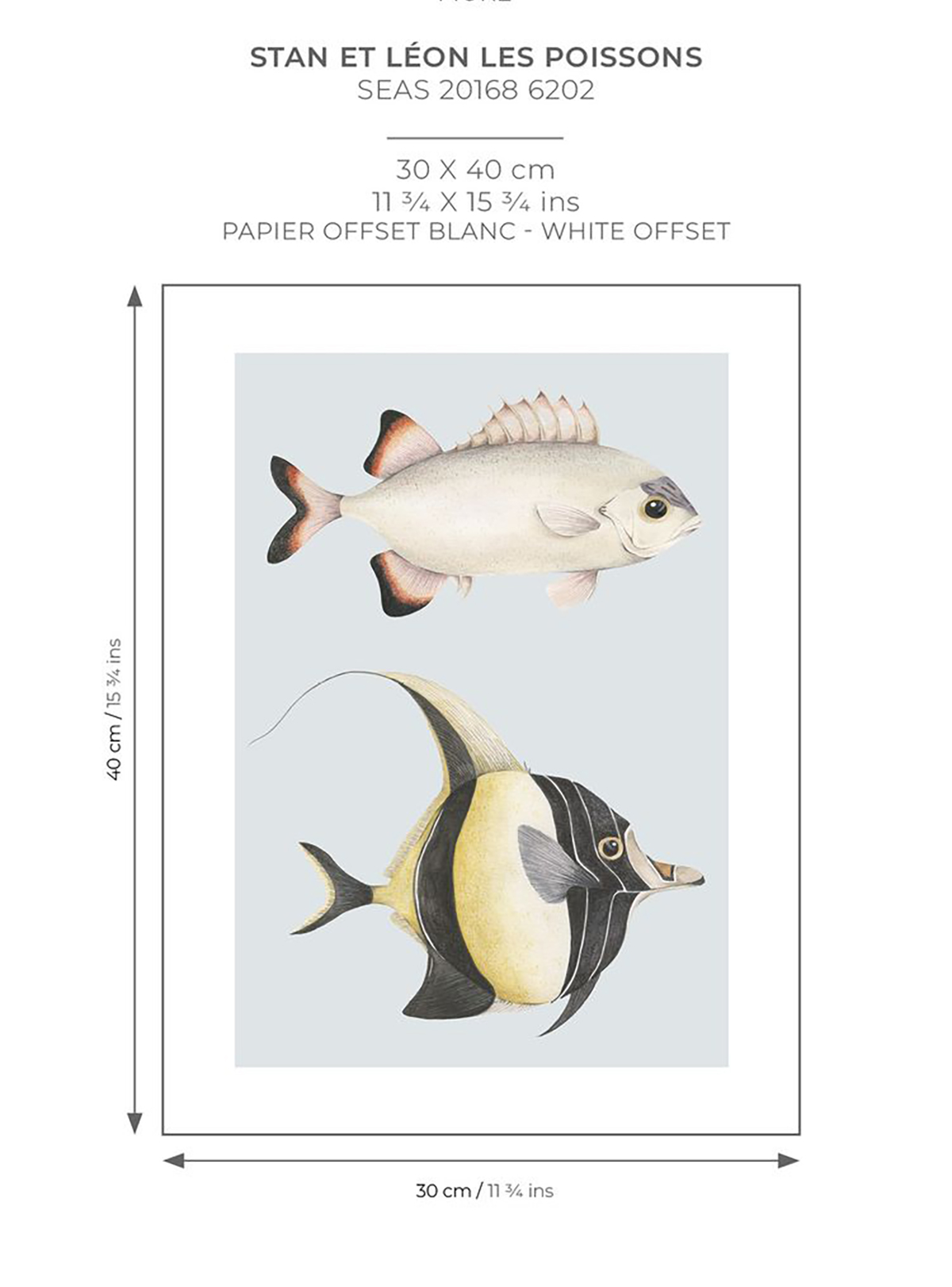 Affiche Poissons Stan Léon 30x40 bleu doux - Seaside de Casadéco AMB7 | Réf. SEAS201686202