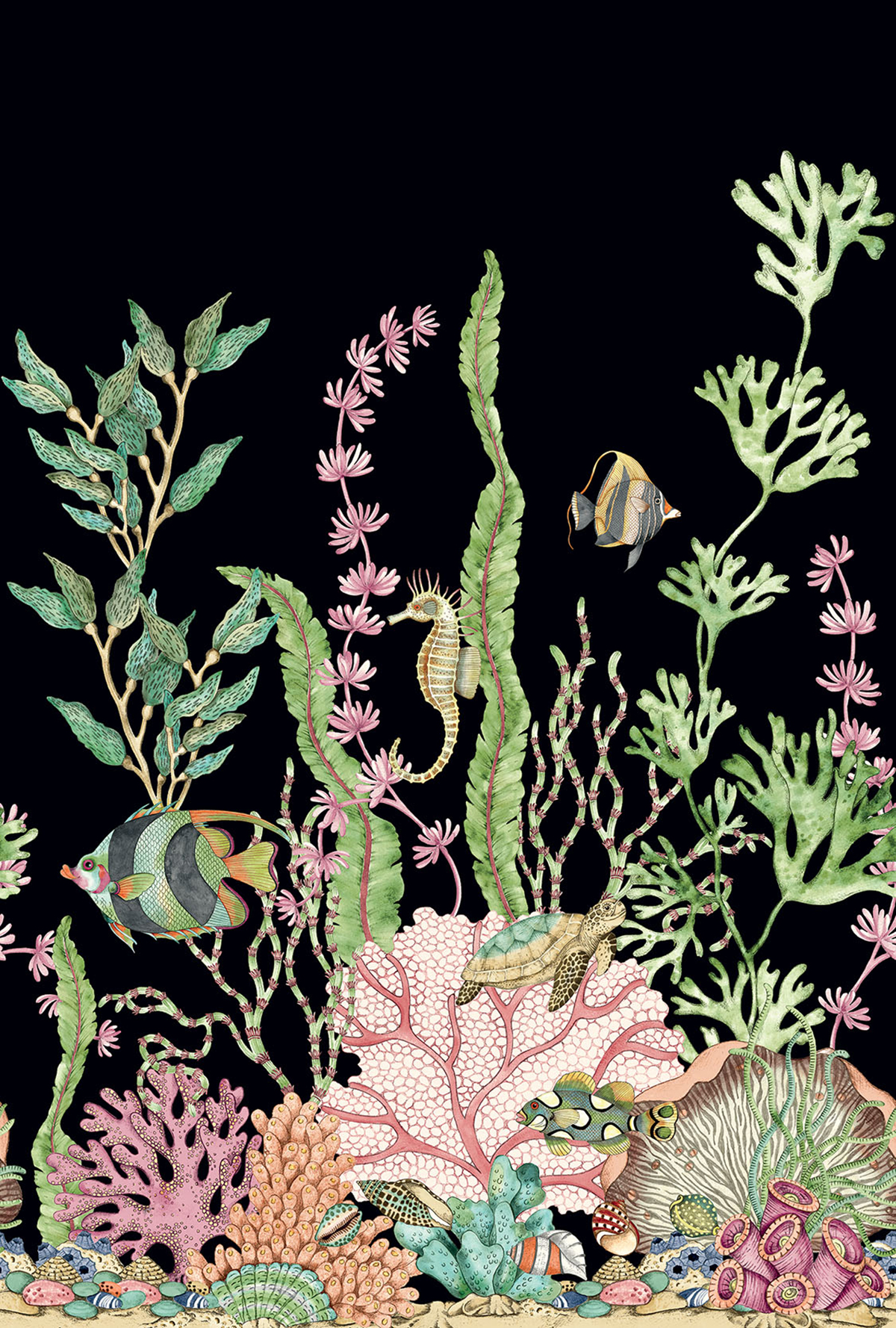 Papier peint panoramique Poisson Nautique noir - Daisy Bennett d'Initiales | Réf. INI-DB30710M