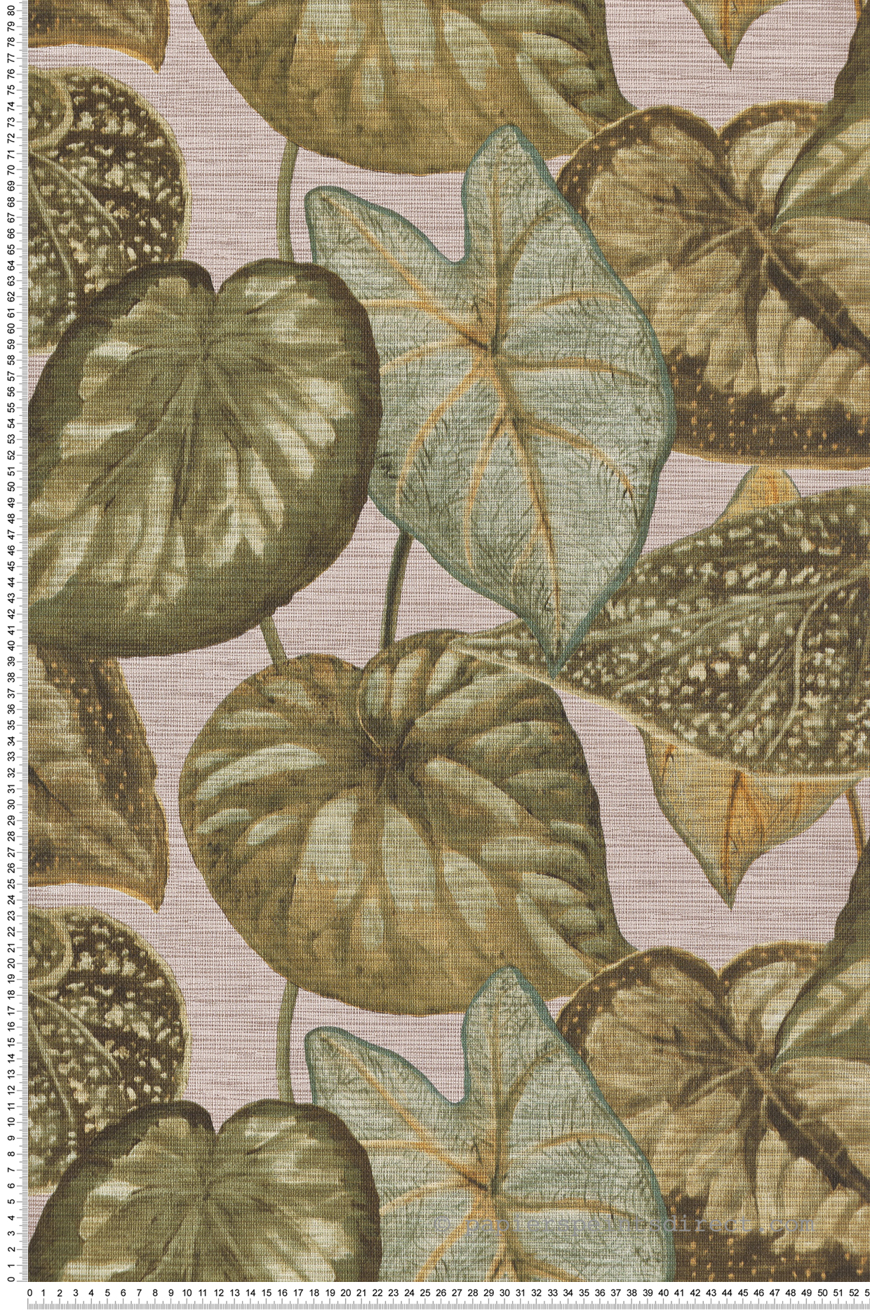 Papier peint Feuille Tropicale vert beige - Maori de Montecolino | Réf. MC-TA25052