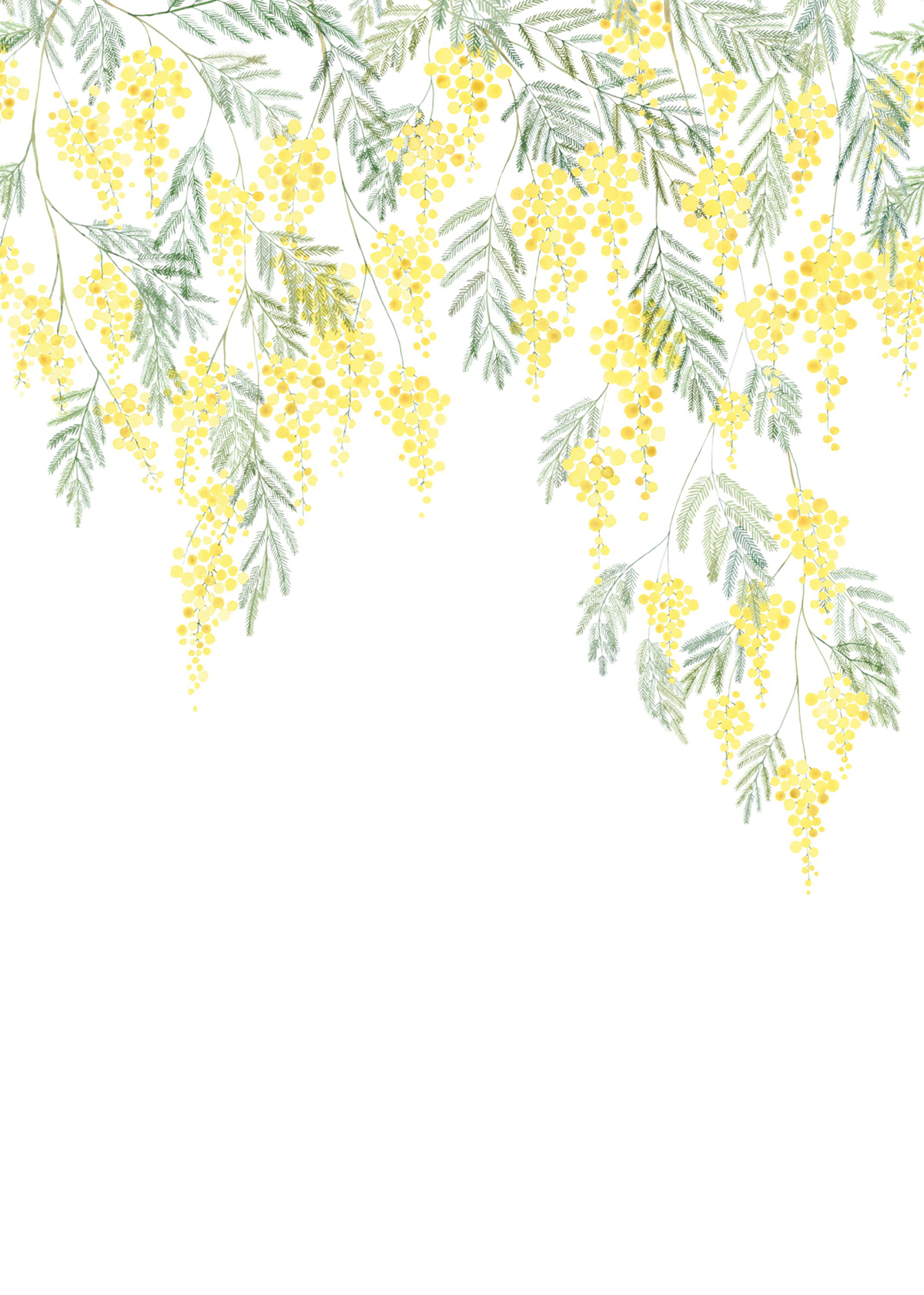 Papier peint panoramique Fleur Mimosa M jaune 200x280 - Wonderwalls de Casadéco | Réf. WDWS89172203