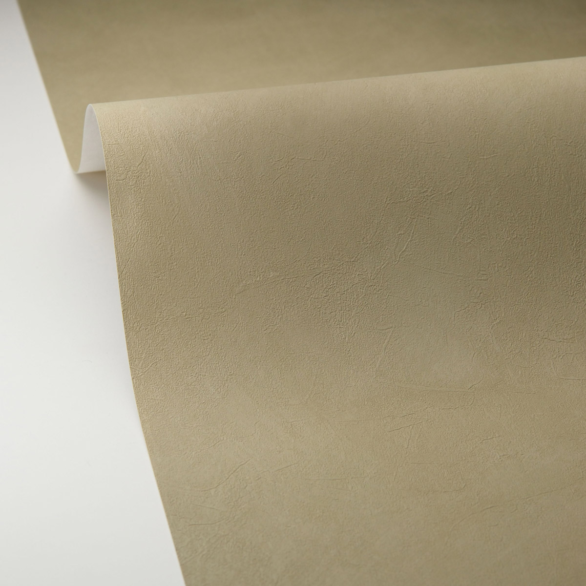 Papier peint Uni Enduit La Chaux vert de gris - Origine de Casélio AMB5| Réf. OGN106087250