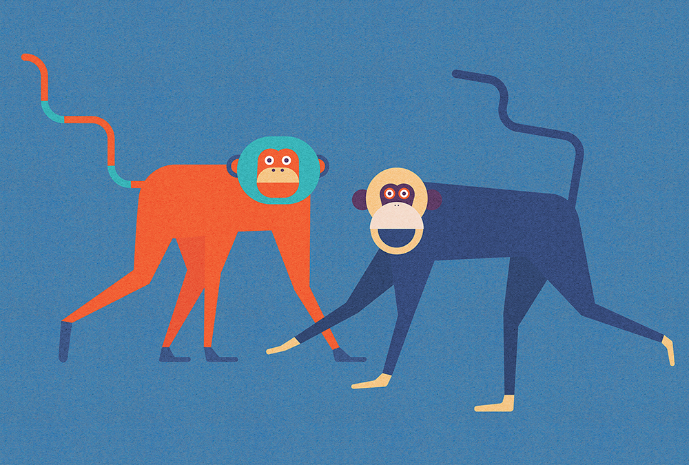 Papier peint panoramique Singe Monkeybusines2 - Référence DD113817 - Intissé 200g/m2 - Standard 400 x 270