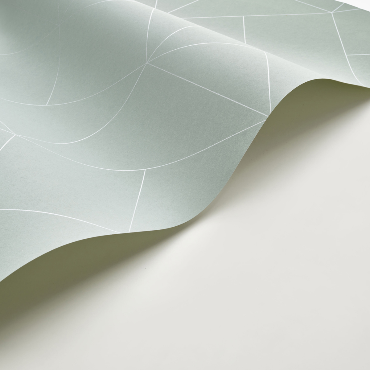 Papier peint Figure Subtilité Métallisé céladon argenté - Alchimie de Casadéco AMB4| Réf. ALMI89957247