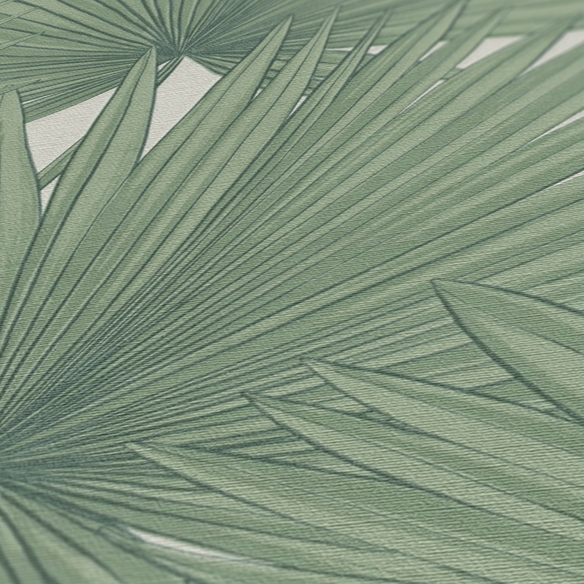 Papier peint Palme Eventail vert - Antigua d'A.S. Création AMB4 | Réf. SP15925