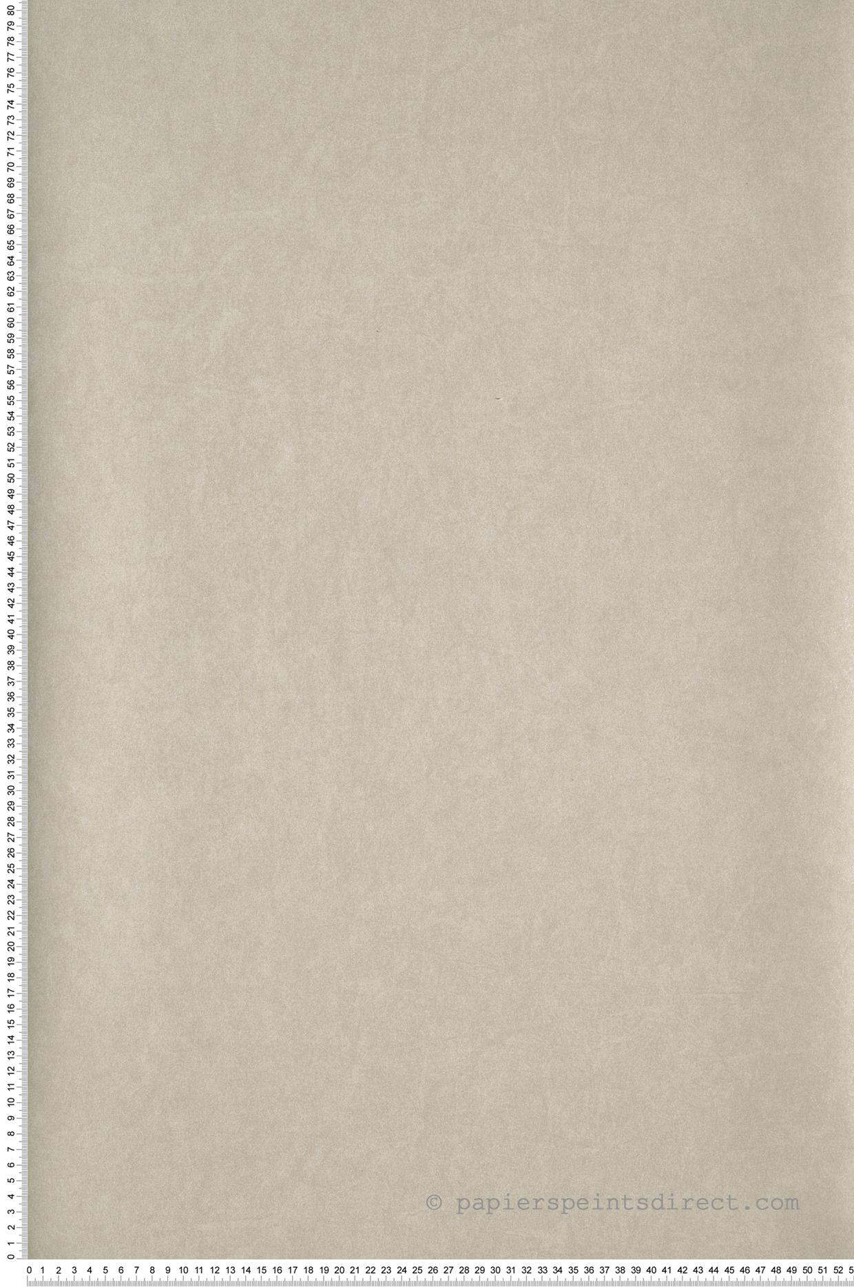 Papier peint Faux Uni Lewis beige argenté - Méditerranée de Casadéco | Réf. MEDI84071202