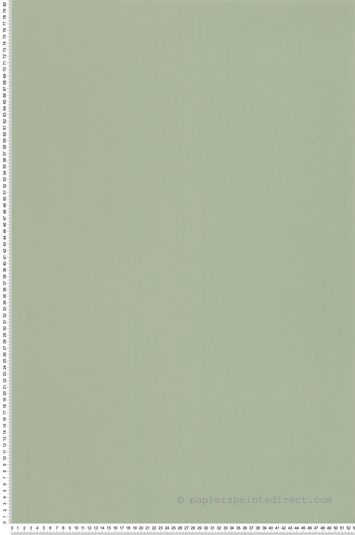 Papier peint Uni vert sauge - Autour du Monde de Casélio | Réf. ADM69867200