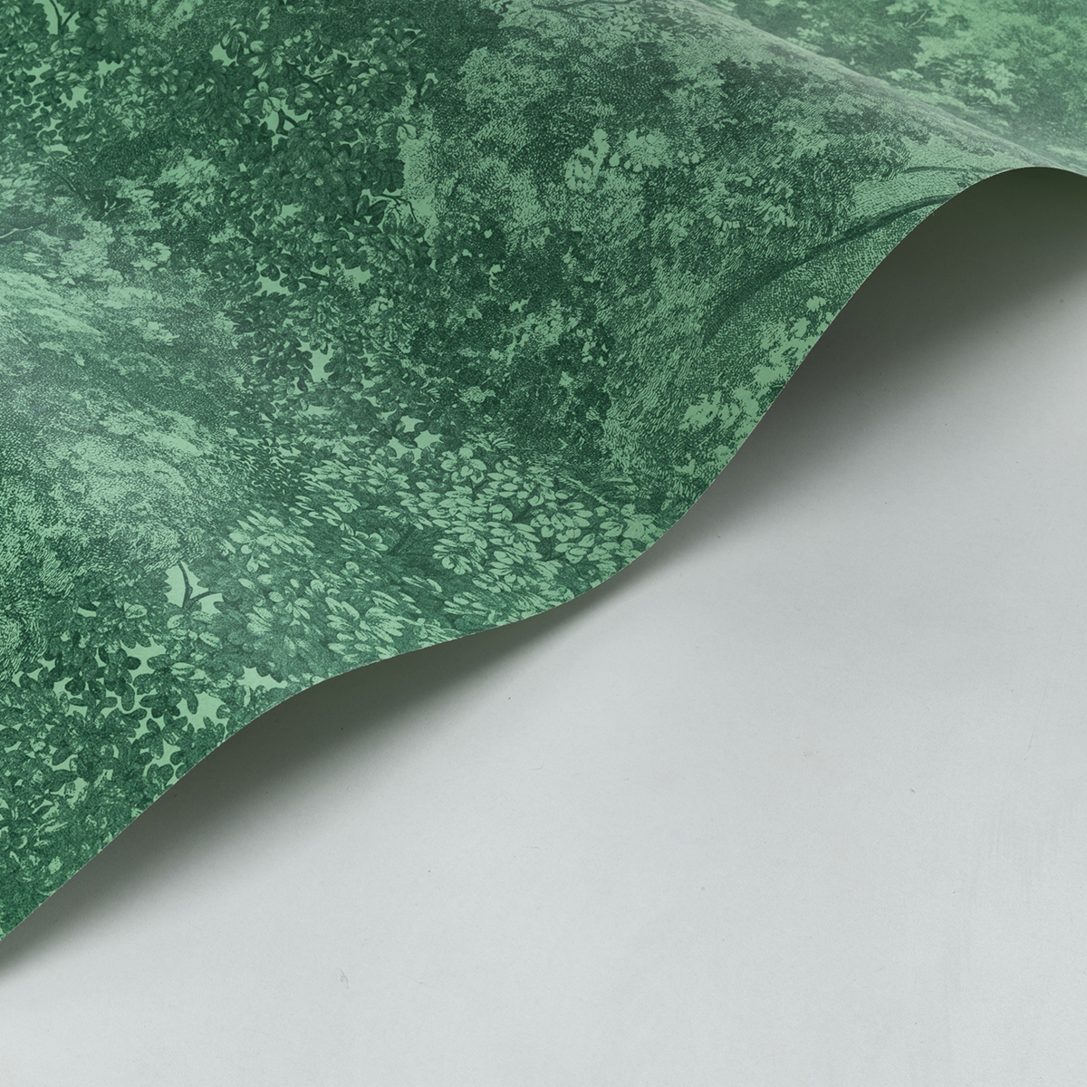 Papier peint Forêt Canopée vert forêt - Voyage Onirique de Casadéco | Réf. ONIR87247855