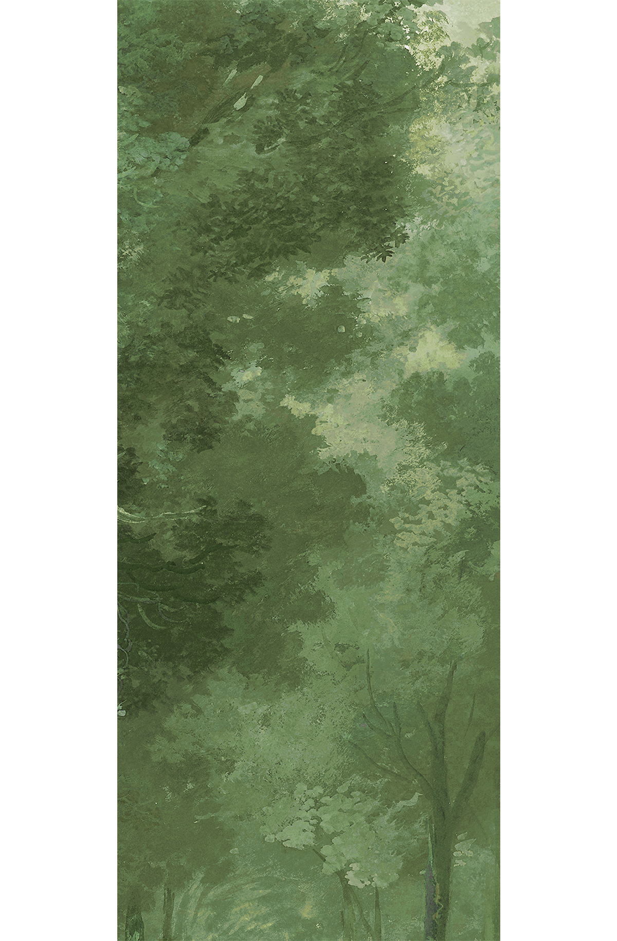 Papier peint panoramique Forêt vert - A H260 - Wall Designs IV de Masureel | Réf. MAS-DG4WOO1021-260