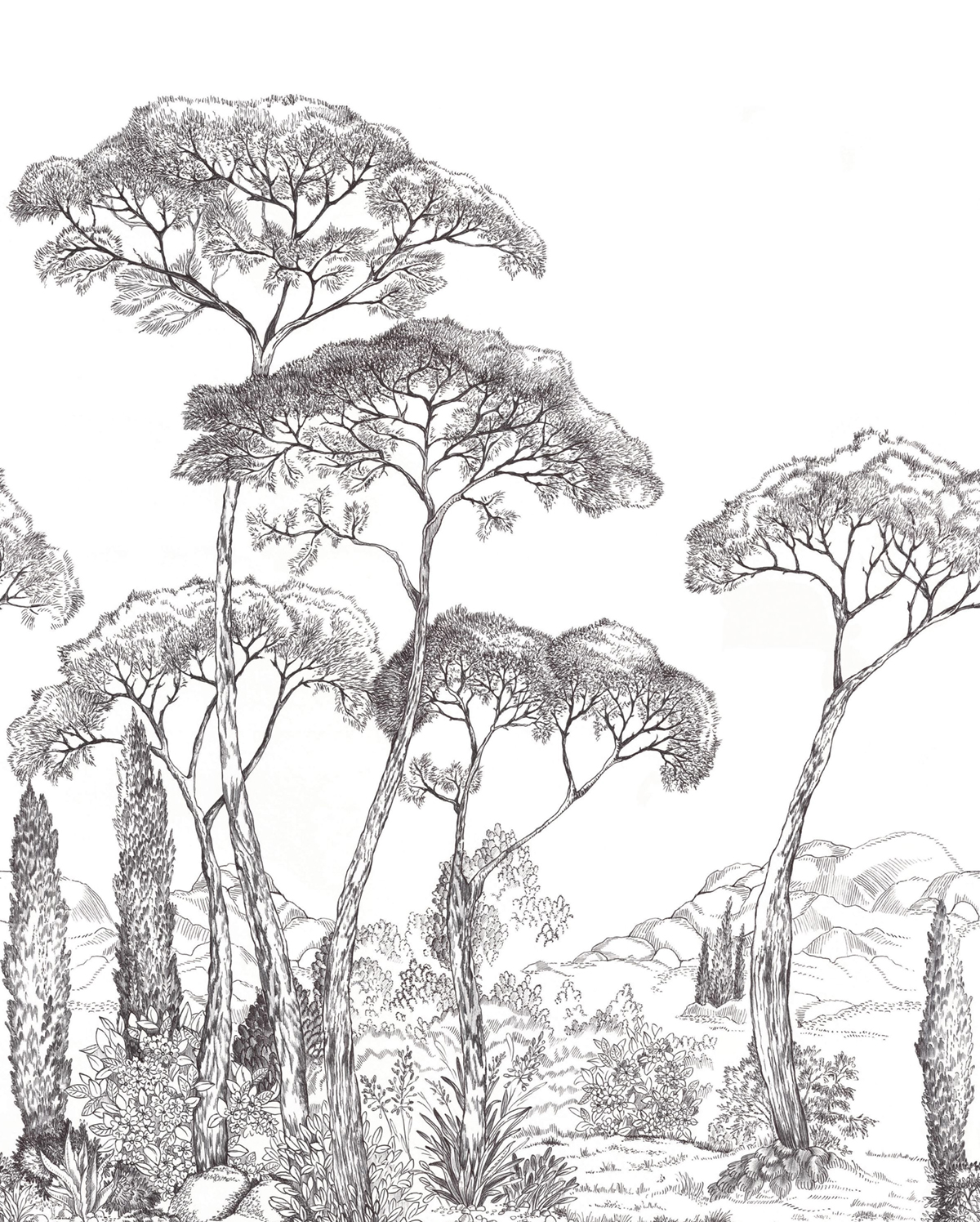 Papier peint Panoramique Méditerranéen Forest Of Pinea noir et blanc 200X250 - Moonlight 3 de Casélio | Réf. MNL3107290905